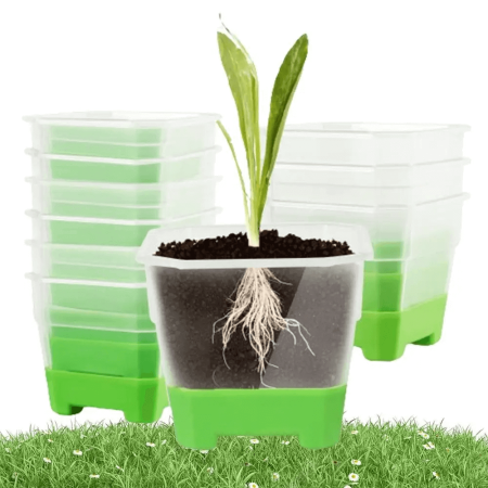 Vasinho Transparente - Verde