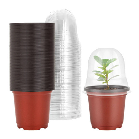 Vasinho com Estufa para mudas e germinação de sementes