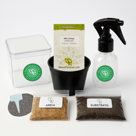 Kit de Cultivo - Lithops - Premium (Sementes + Terra + Acessórios)