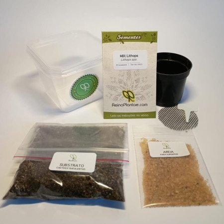 Kit de Cultivo - Lithops - Básico (Sementes + Terra + Acessórios)