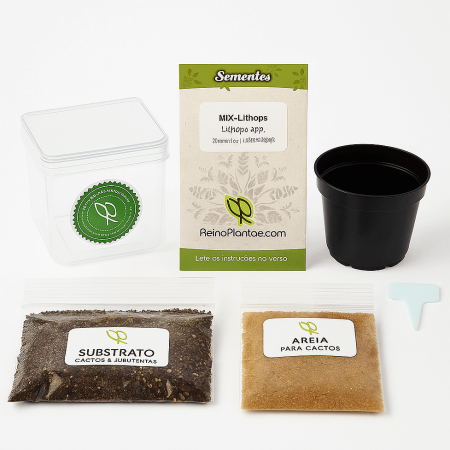 Kit de Cultivo - Lithops - Básico (Sementes + Terra + Acessórios)