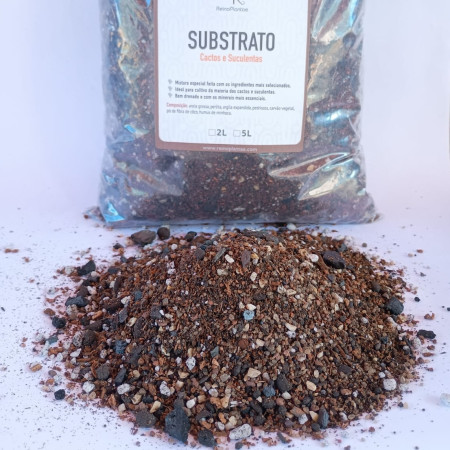Substrato especial para Cactos e Suculentas