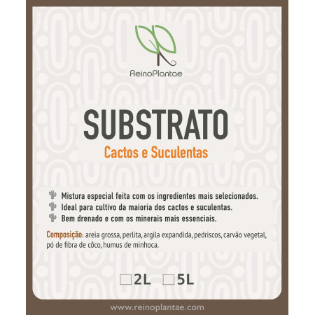 Substrato especial para Cactos e Suculentas