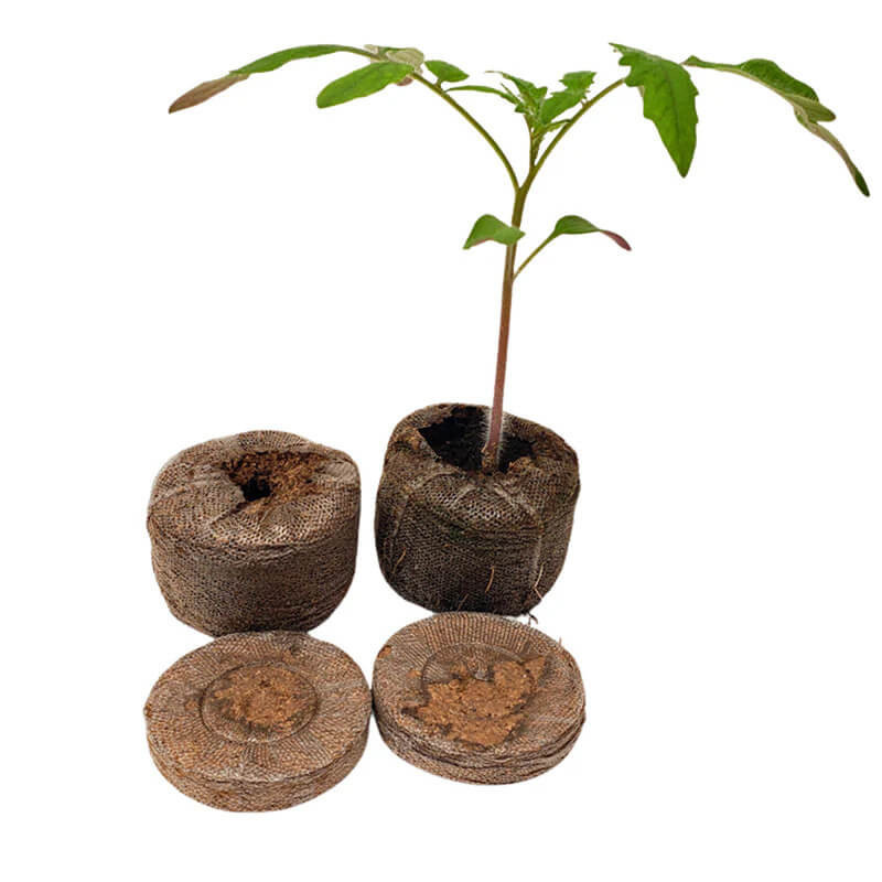 Jiffy - Pinos orgânicos para mudas e germinação de sementes