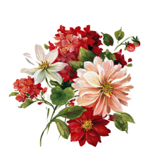Flores