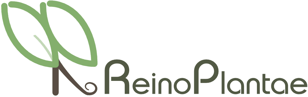 Loja ReinoPlantae